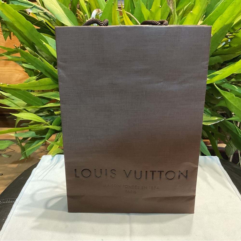 Louis Vuitton shopping bag